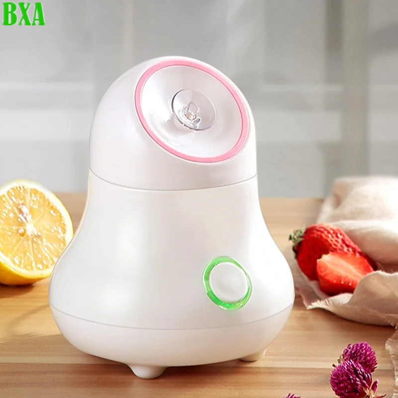 Facial Steamer Nano - 과일 및 야채 페이셜 스티머 나노