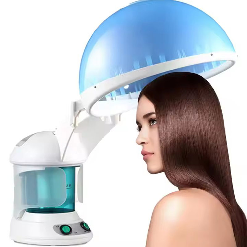 다기능 2in1 나노 이온 헤어 페이셜 스티머 헤어 케 - Facial Steamer Nano 리뷰 및 가격