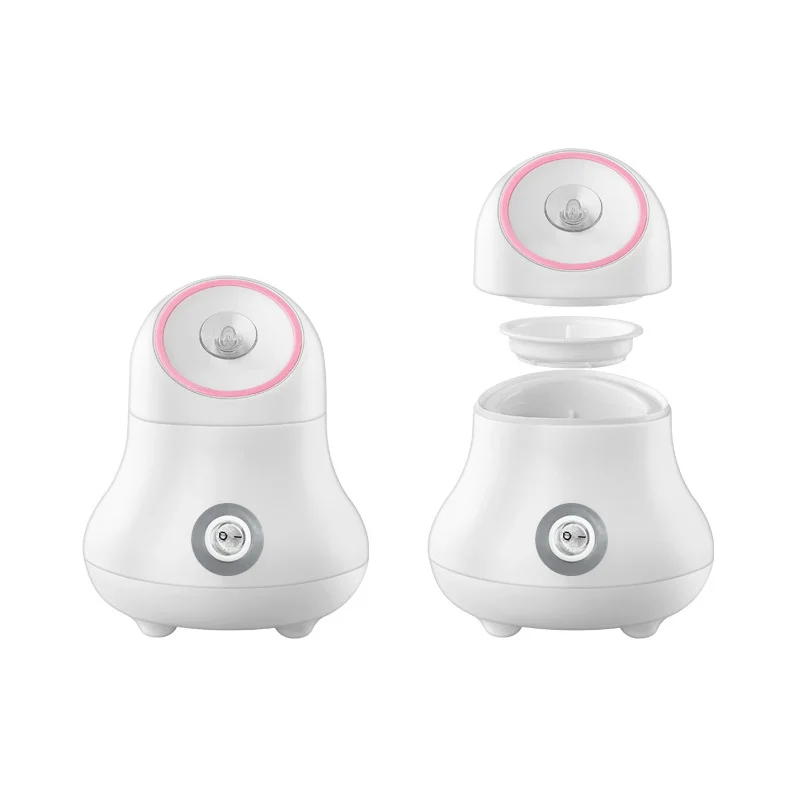 과일 및 야채 페이셜 스티머 나노 이온 페이스 가습기  - Facial Steamer Nano 리뷰 및 가격