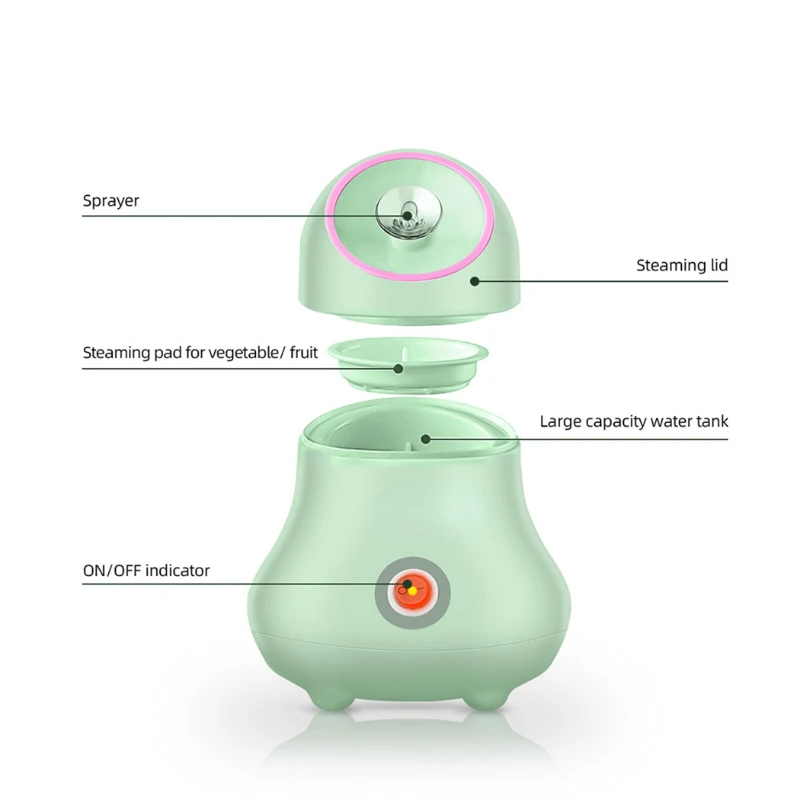 과일 및 야채 페이셜 스티머 나노 이온 페이스 가습기  - Facial Steamer Nano 리뷰 및 가격