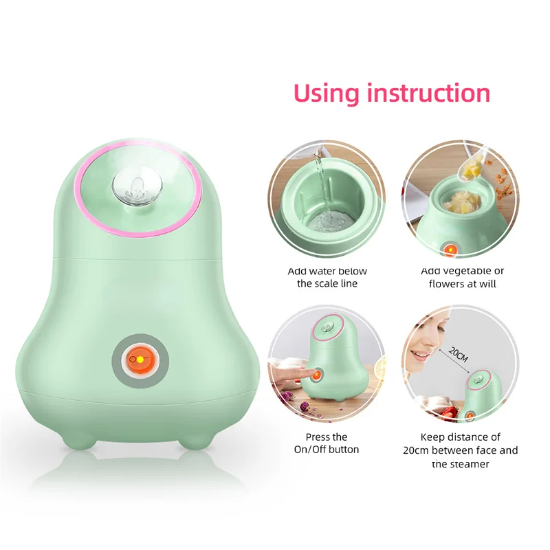 과일 및 야채 페이셜 스티머 나노 이온 페이스 가습기  - Facial Steamer Nano 리뷰 및 가격
