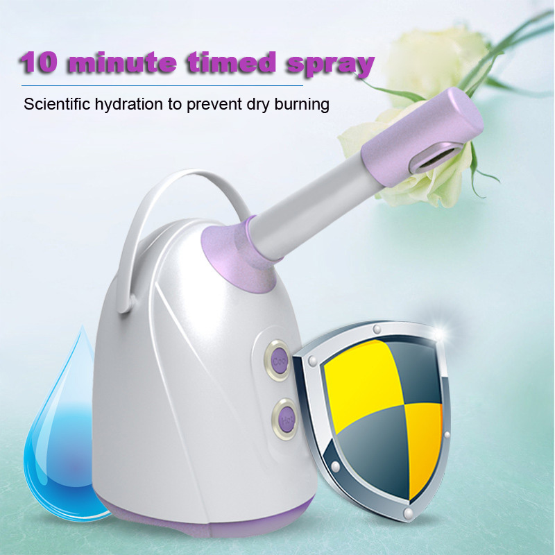 홈 살롱용 페이셜 스티머 오존 스팀 이온 핫 미스트 가 - Facial Steamer Nano 리뷰 및 가격