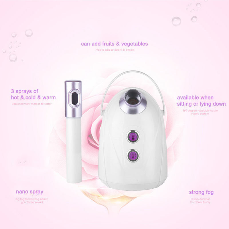 홈 살롱용 페이셜 스티머 오존 스팀 이온 핫 미스트 가 - Facial Steamer Nano 리뷰 및 가격